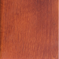 Старый орех 2